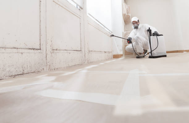 24/7 Emergency Black Mold Removal experts in West Point, VA